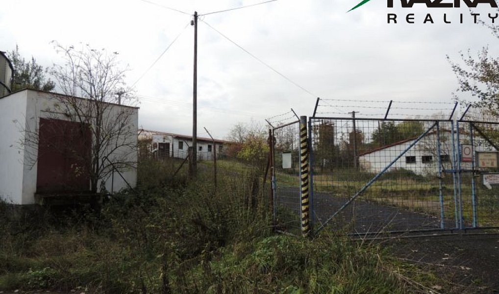Prodej zemědělského objektu 5 633 m², Přimda – náhled fotky 9