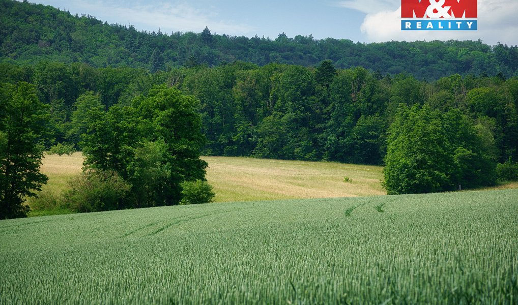 Prodej pole 5 359 m², Seloutky – náhled fotky 4