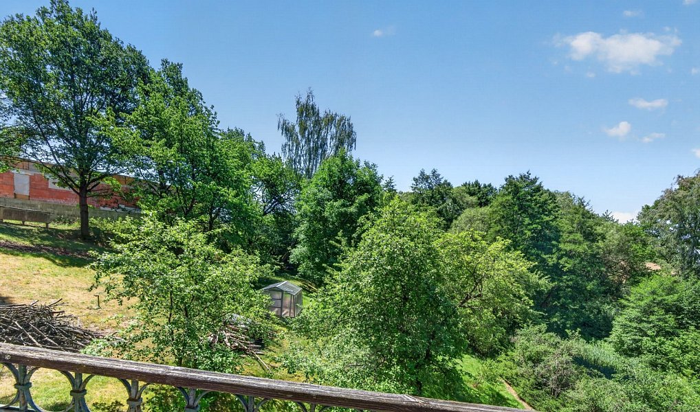 Prodej domu 339 m² s pozemkem 9 216 m², Mirkovice – náhled fotky 22