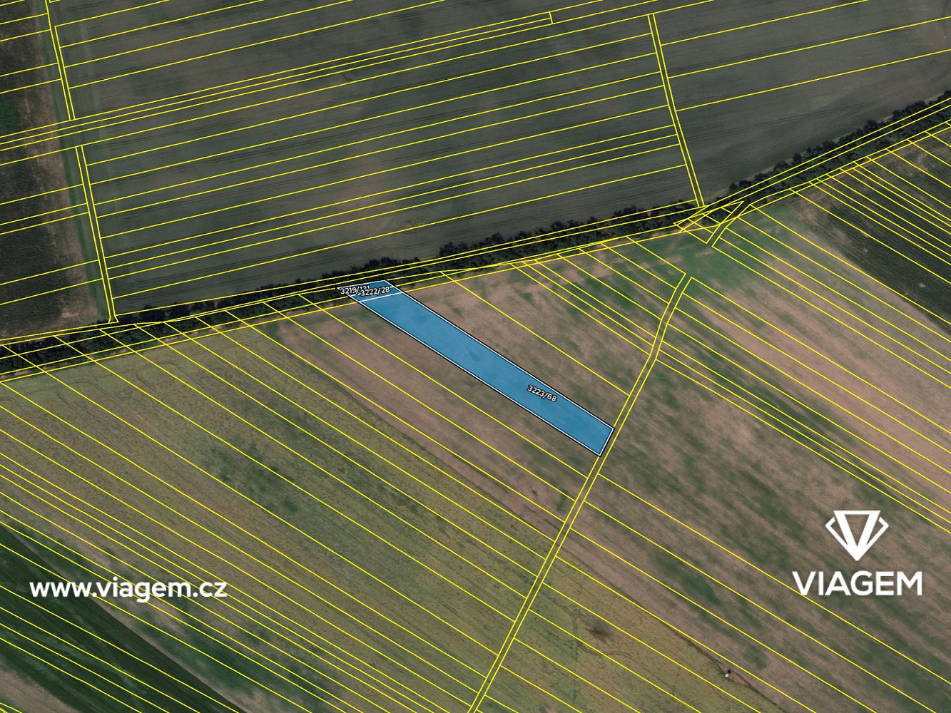 Prodej pole 1 417 m² – fotografie 4