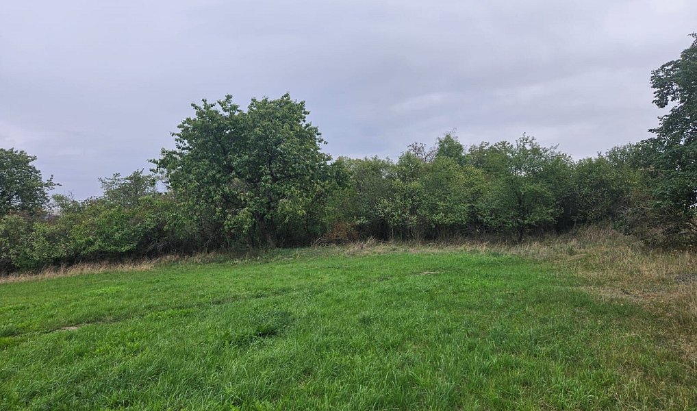 Prodej pozemku 17 275 m², Hrdlív – náhled fotky 9