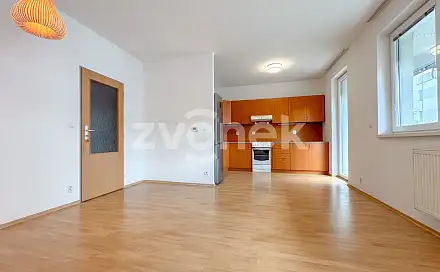 Pronájem bytu 1+kk 44 m², Březnická, Zlín