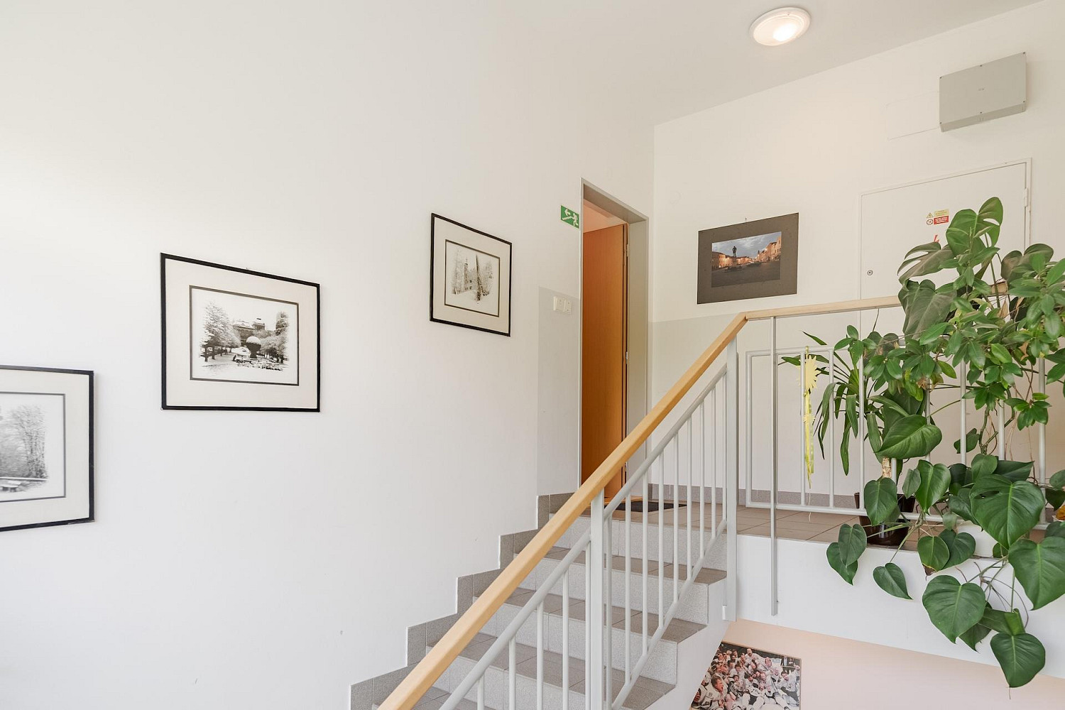 Prodej bytu 3+kk 77 m² — photo 3