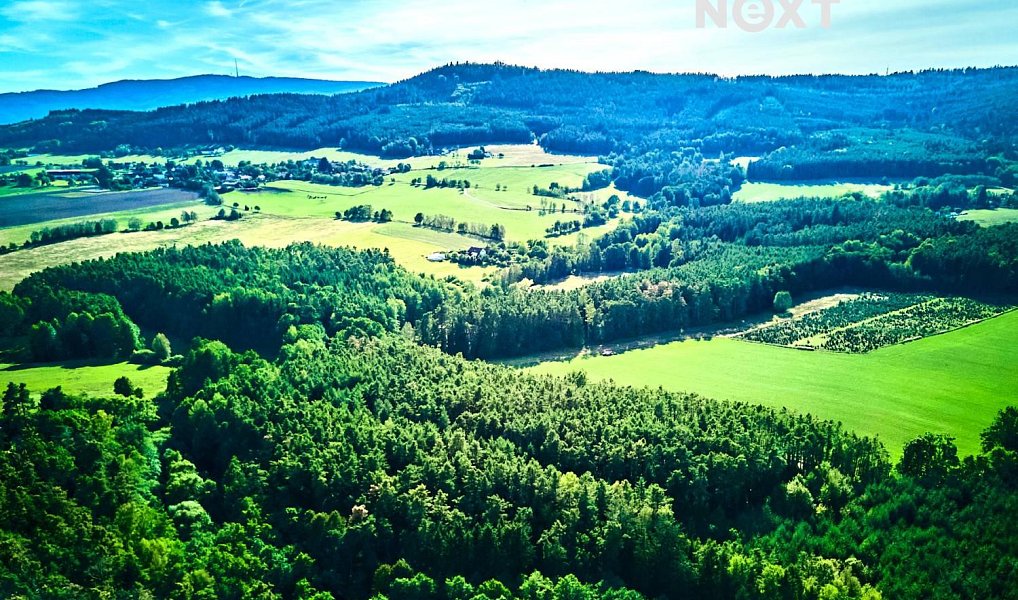 Prodej lesa 13 404 m², Hradce – náhled fotky 10