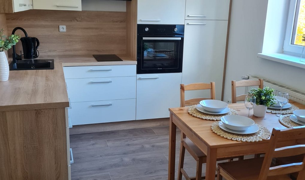 Prodej ubytovacího objektu 850 m², Staré Město – náhled fotky 2