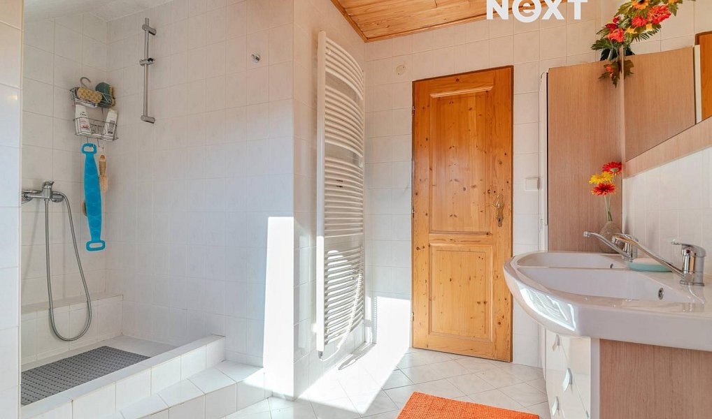 Prodej domu 90 m² s pozemkem 700 m², Pluhův Žďár – náhled fotky 22