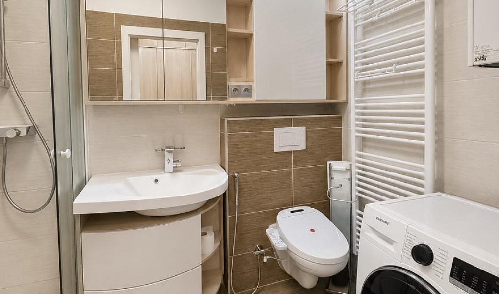 Prodej bytu 2+kk 43 m², Brno – náhled fotky 8