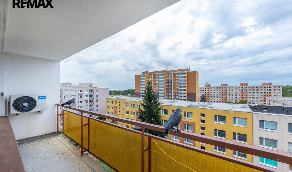 Prodej bytu 3+kk 70 m², Praha – náhled fotky 12