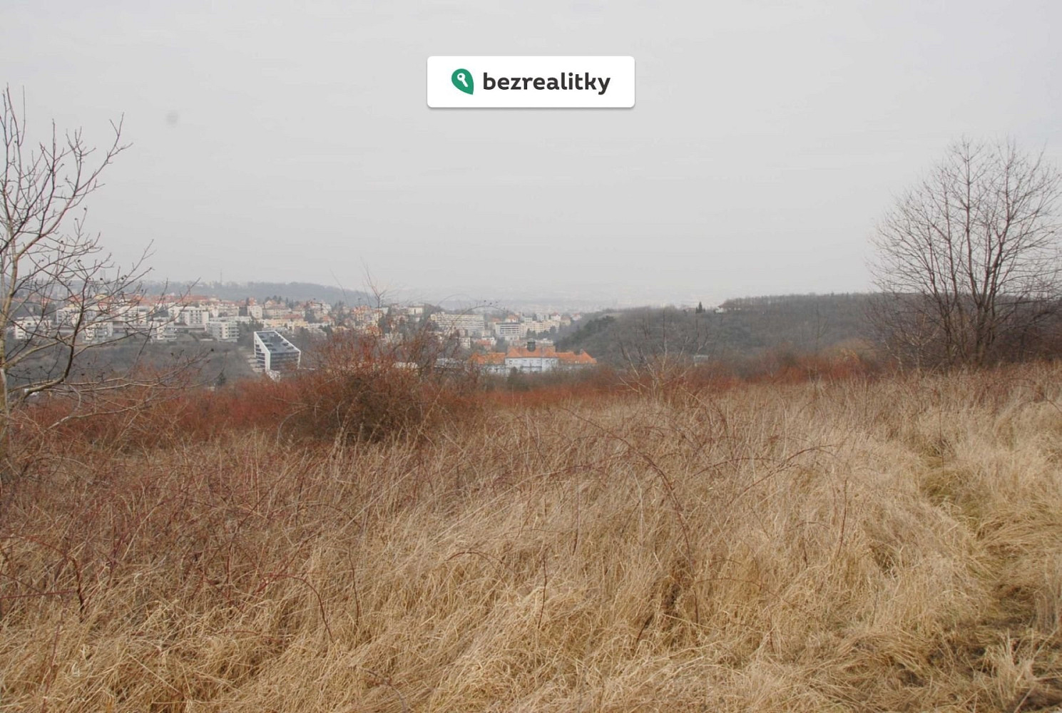 Prodej louky 18 966 m² — photo 4
