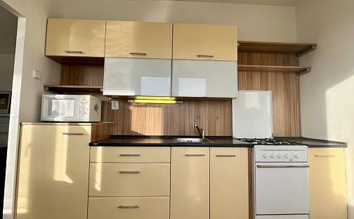 Pronájem bytu 1+1 37 m², Dr. Martínka, Ostrava - Hrabůvka