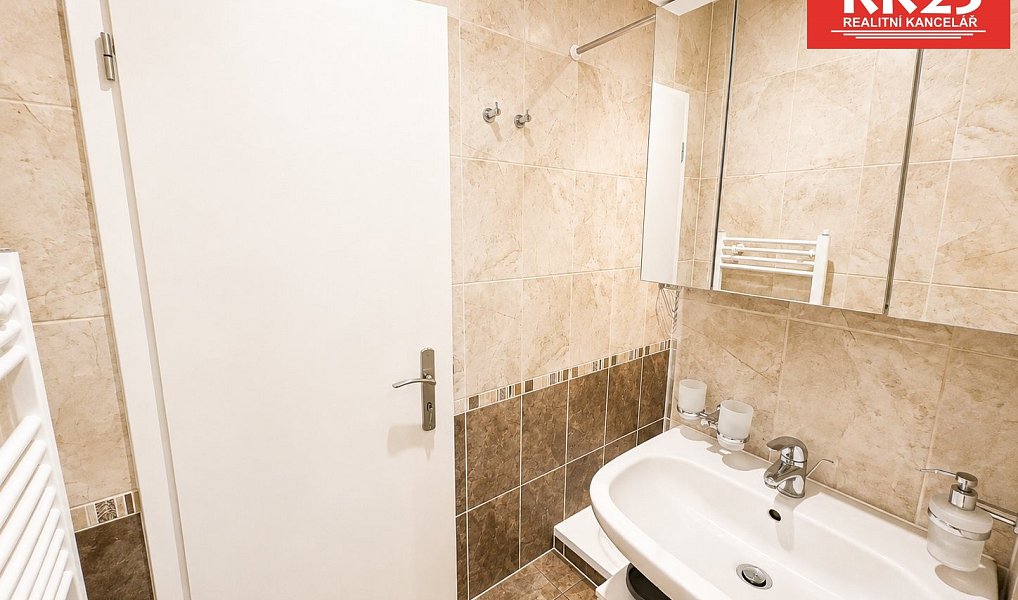 Pronájem bytu 1+1 35 m², Teplá – náhled fotky 9