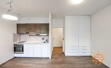 Pronájem bytu 1+kk 30 m², Lucemburská, Praha 3 - Vinohrady