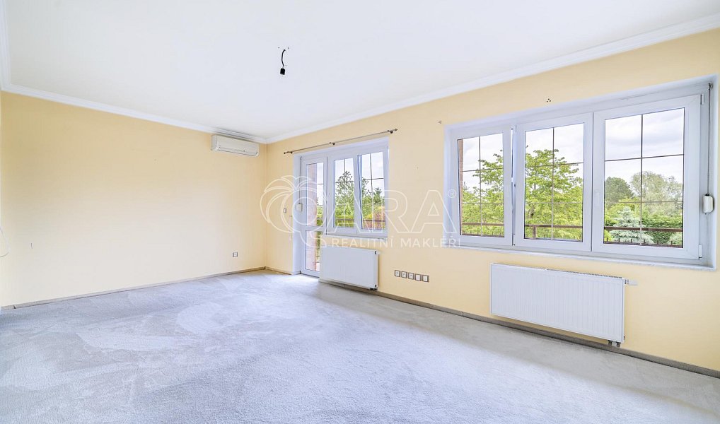 Prodej domu 384 m² s pozemkem 1 835 m², Týnec nad Labem – náhled fotky 20