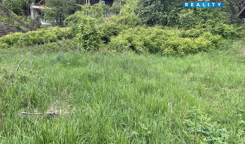 Prodej zahrady 580 m², Horní Bečva – náhled fotky 6