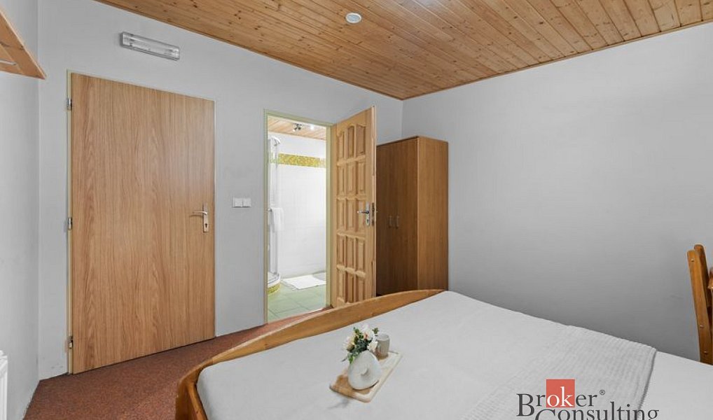 Prodej komerčního objektu (jiného typu) 650 m², Strážné – náhled fotky 21