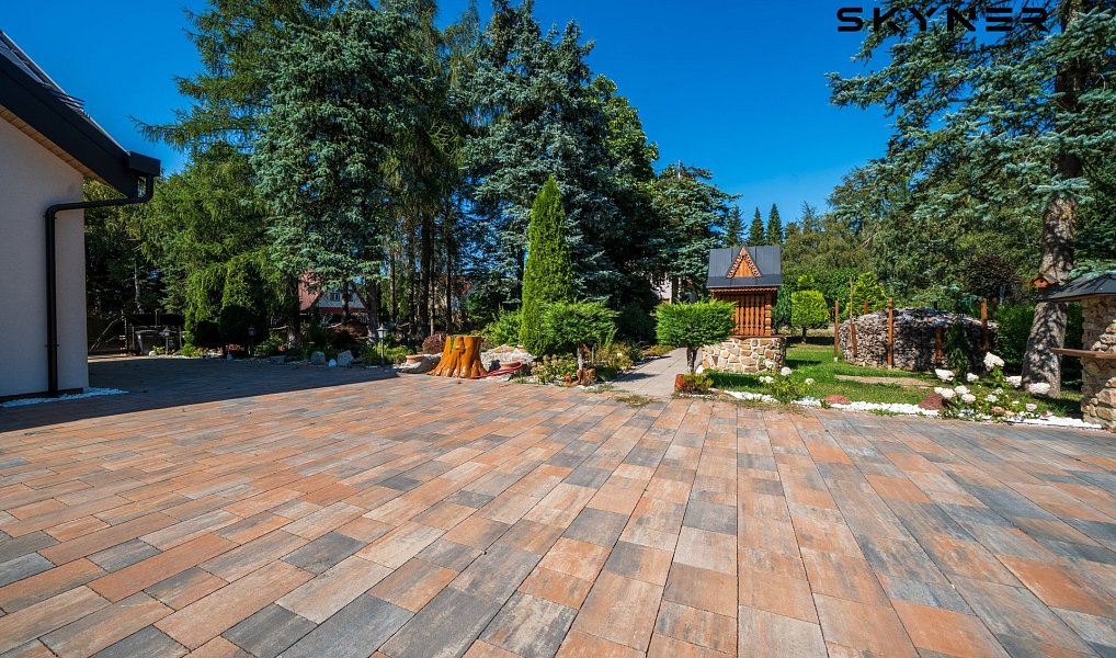 Pronájem domu 400 m² s pozemkem 2 200 m², Tisá – náhled fotky 19