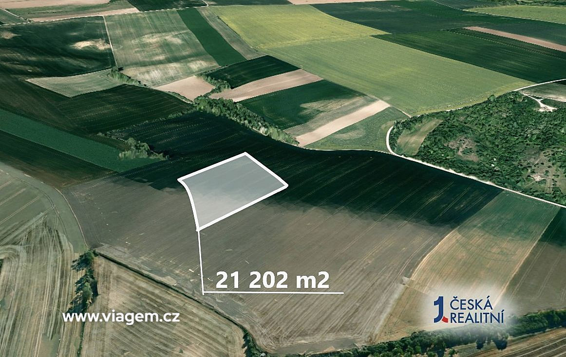 Prodej pole 1 177 m² – fotografie 2