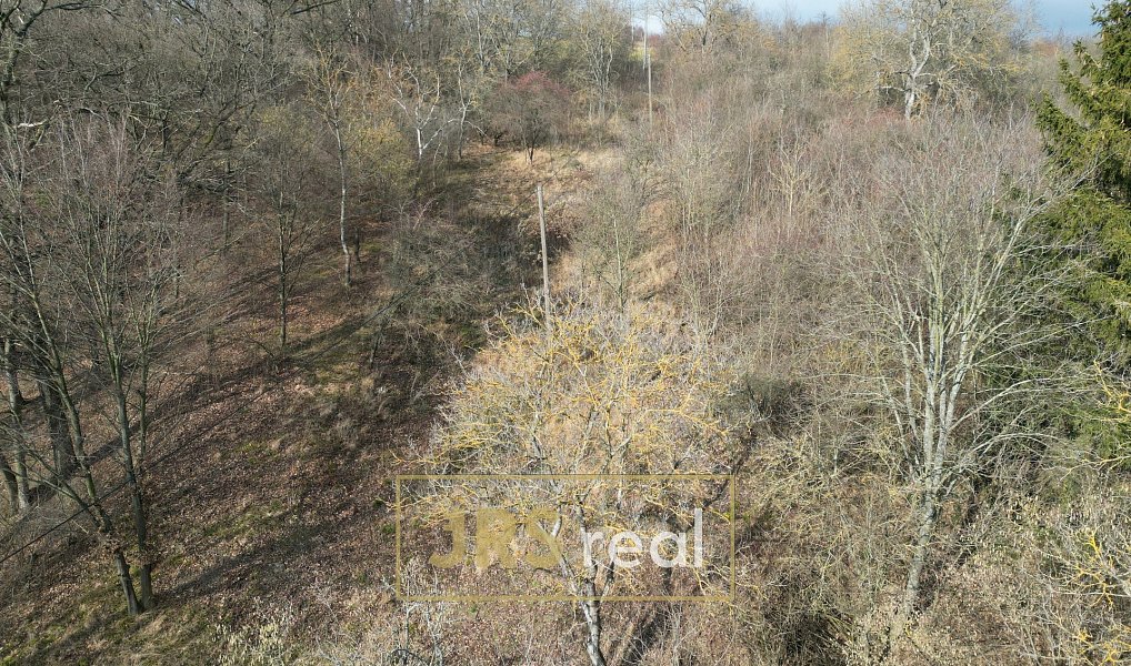 Prodej pole 8 821 m², Kroměříž – náhled fotky 21