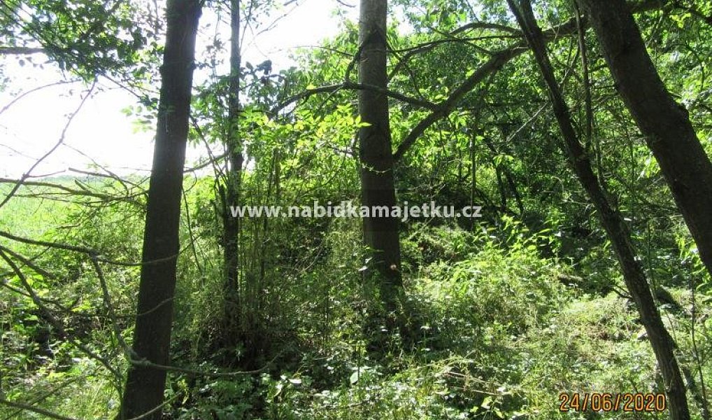 Prodej lesa 80 m², Útušice – náhled fotky 2
