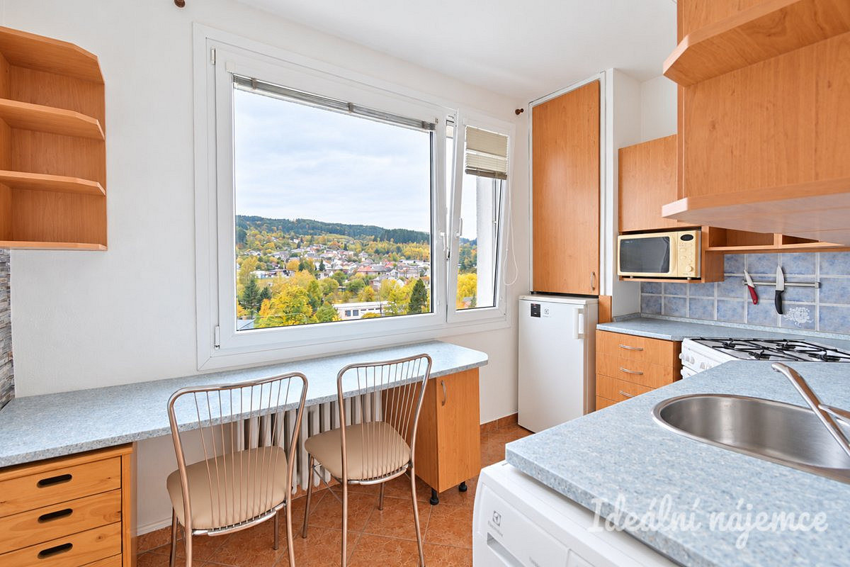 Pronájem bytu 1+1 35 m²