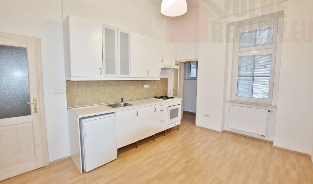 Pronájem bytu 1+1 50 m², Praha – náhled fotky 3
