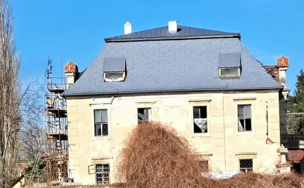 Prodej domu (jiného typu) 2 700 m², Ronov nad Doubravou - Moravany, okres Chrudim