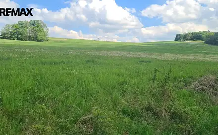 Prodej louky 7 058 m², Čížkov, okres Plzeň-Jih