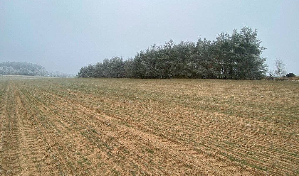 Prodej pole 13 059 m², Slatina – náhled fotky 2