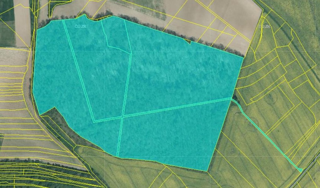 Prodej pozemku 43 384 m², Dolní Lukavice – náhled fotky 14