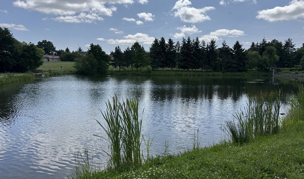Prodej stavebního pozemku 1 294 m², Jenišov – náhled fotky 5