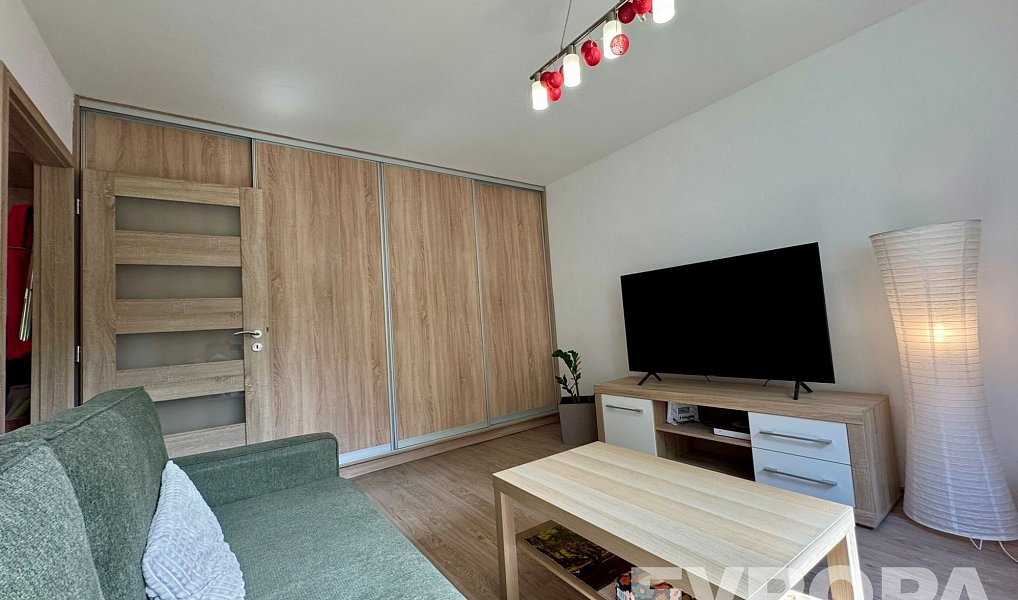 Pronájem bytu 1+1 30 m², Plzeň – náhled fotky 5