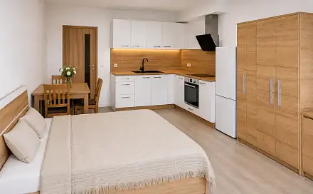 Pronájem bytu 1+kk 29 m²