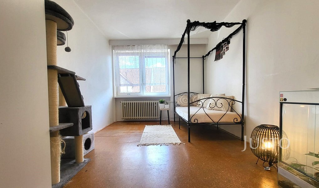 Prodej domu 231 m² s pozemkem 335 m², Písek – náhled fotky 14