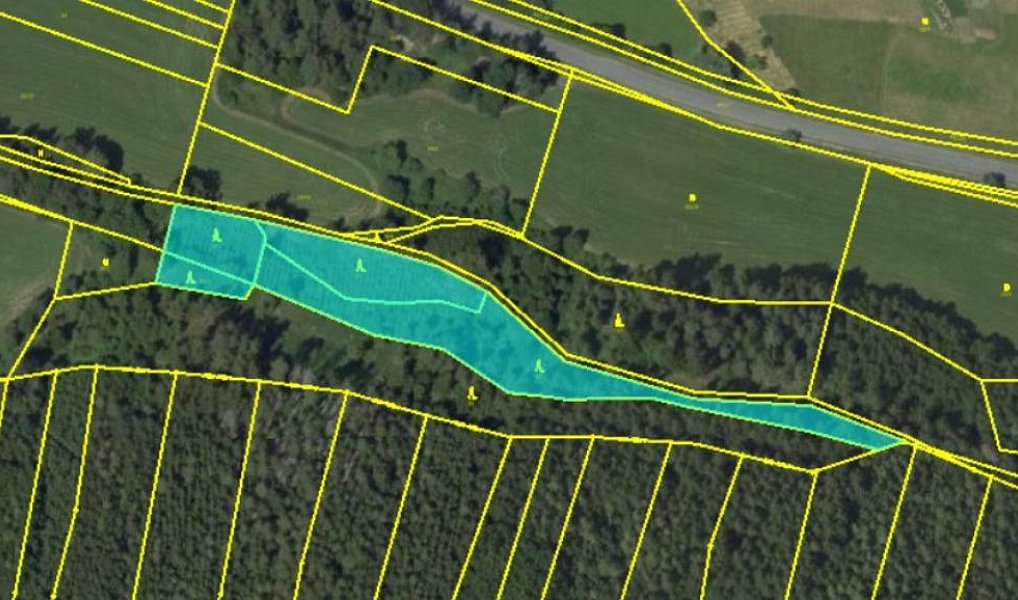 Prodej lesa 5 469 m², Velké Opatovice – náhled fotky 6