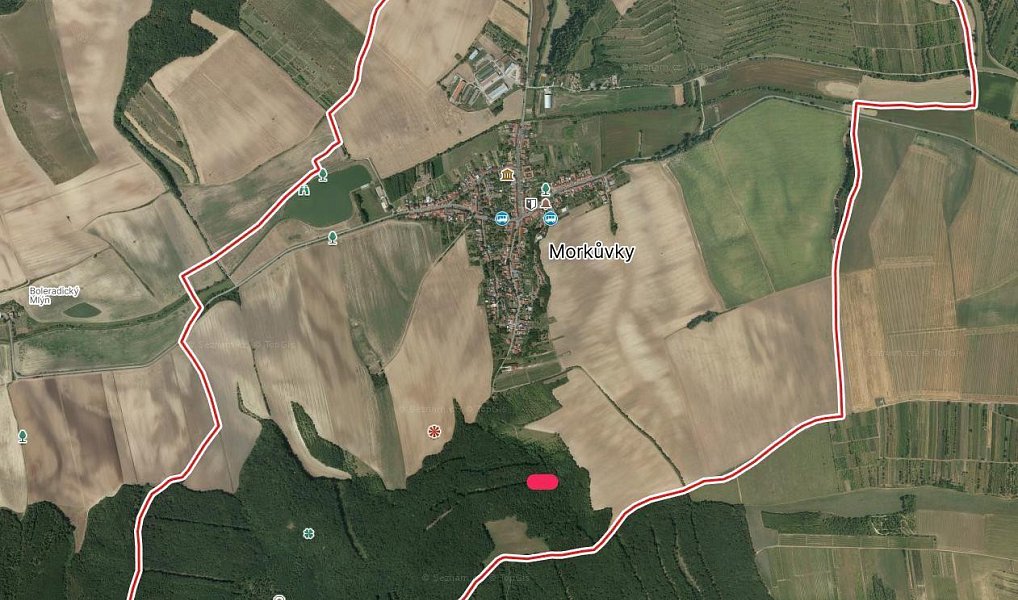 Prodej lesa 5 387 m², Morkůvky – náhled fotky 2
