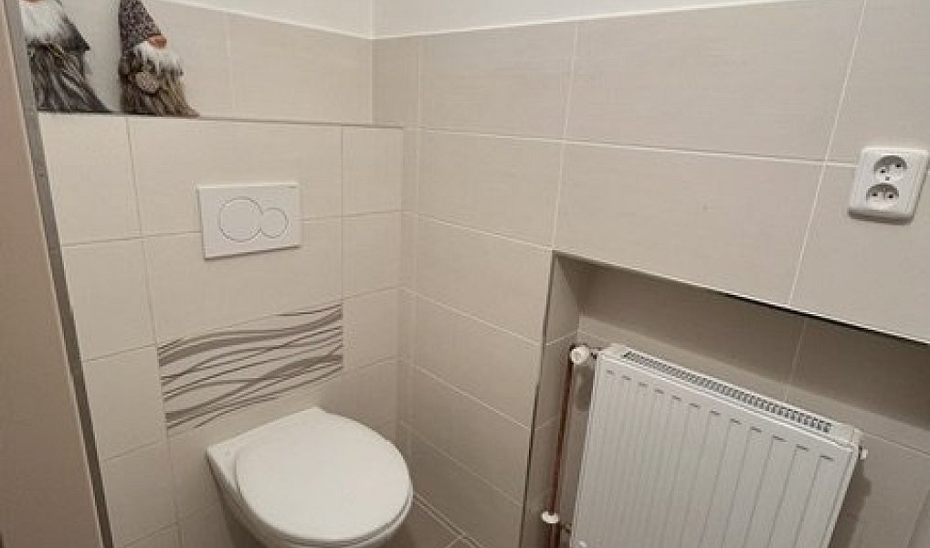 Pronájem domu 170 m² s pozemkem 832 m², Vizovice – náhled fotky 10