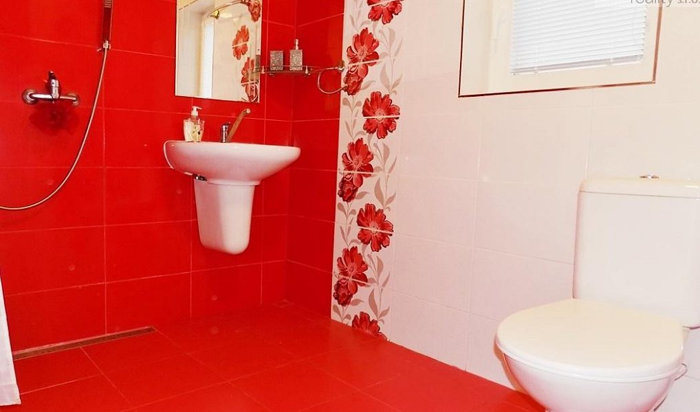 Prodej ubytovacího objektu 325 m², Lobendava – náhled fotky 12