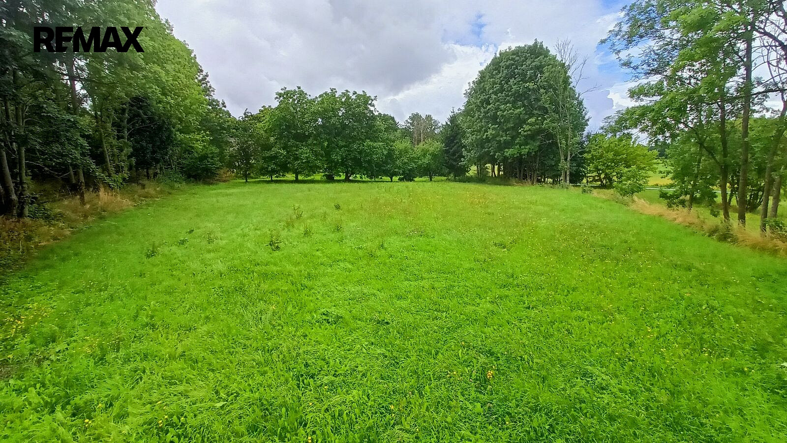 Prodej stavebního pozemku 1 913 m² – fotografie 5
