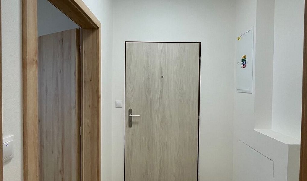 Pronájem bytu 1+kk 43 m², Uherský Brod – náhled fotky 13