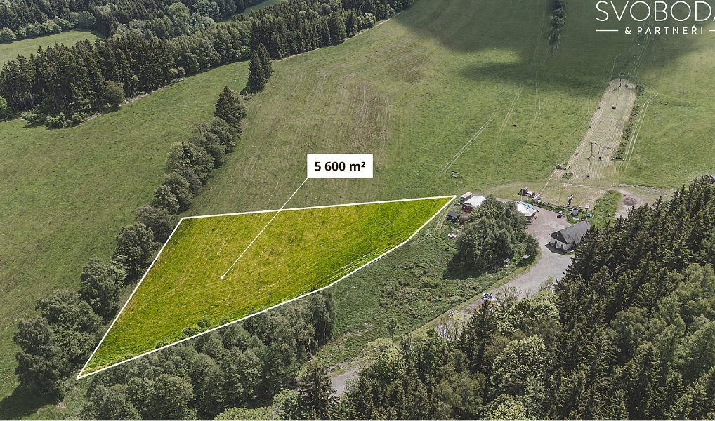 Prodej stavebního pozemku 5 600 m², Olešnice v Orlických horách – náhled fotky 5