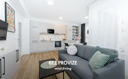 Pronájem bytu 2+kk 49 m²