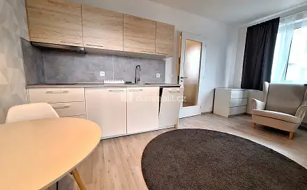 Pronájem bytu 1+kk 33 m²