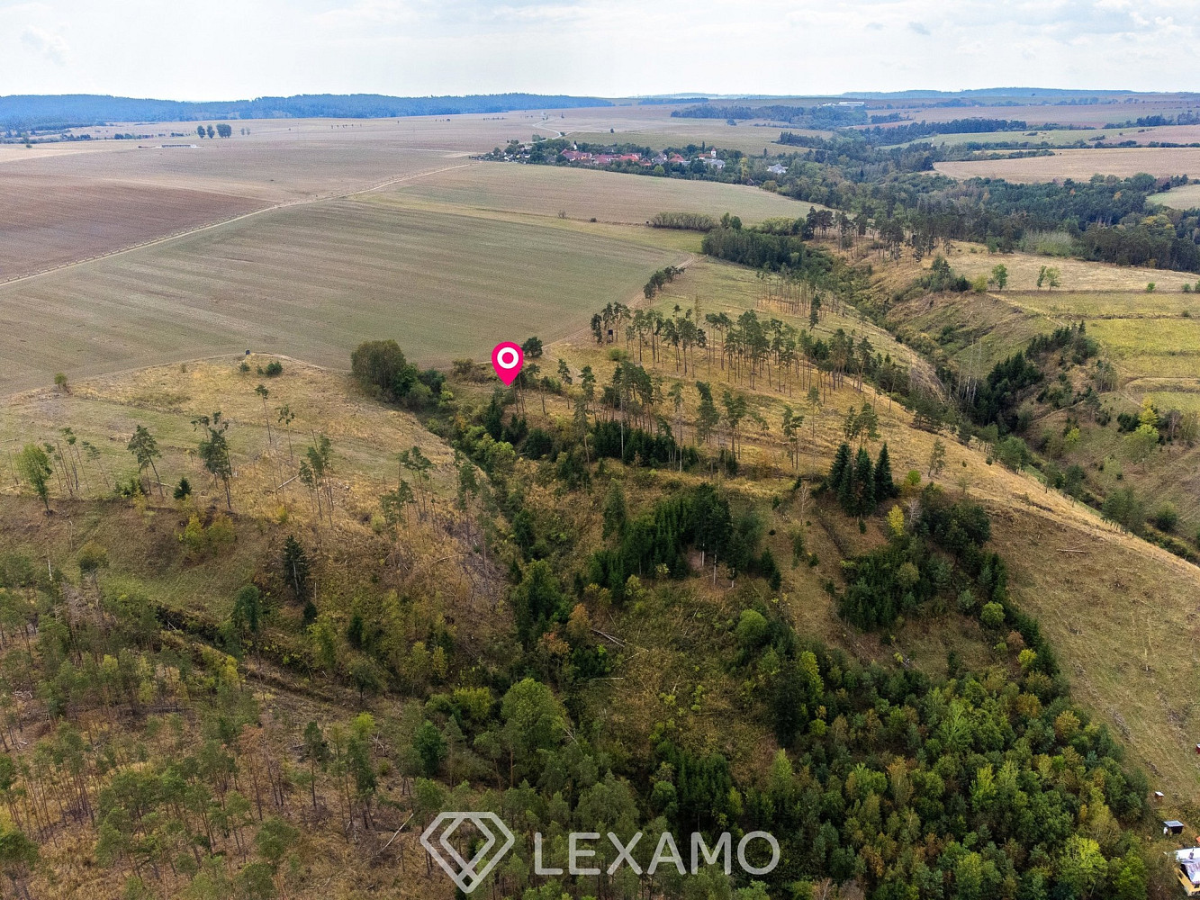 Prodej lesa 15 246 m² – fotografie 2