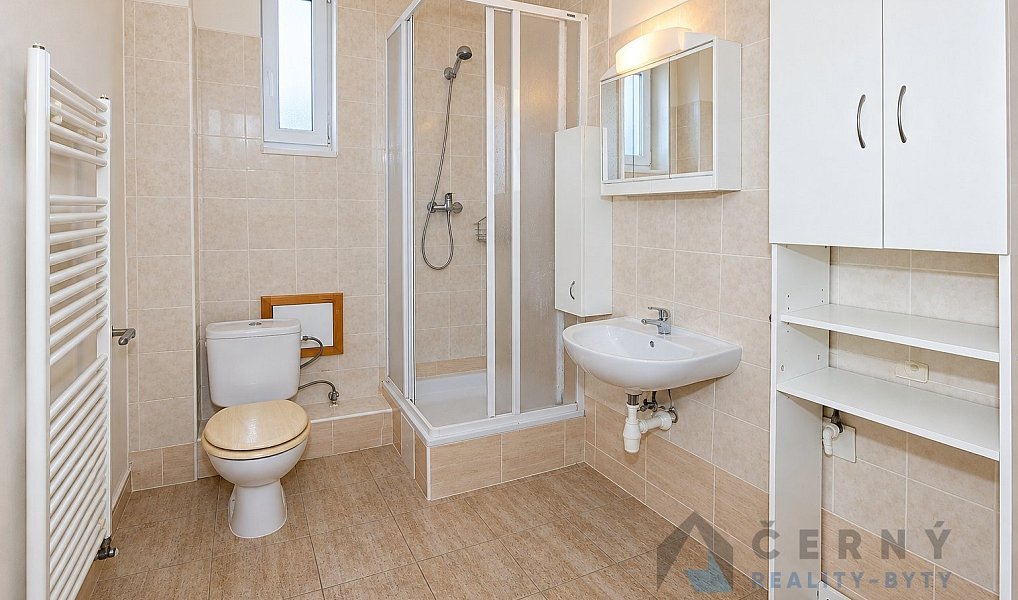 Pronájem bytu 2+1 60 m², Liberec – náhled fotky 12