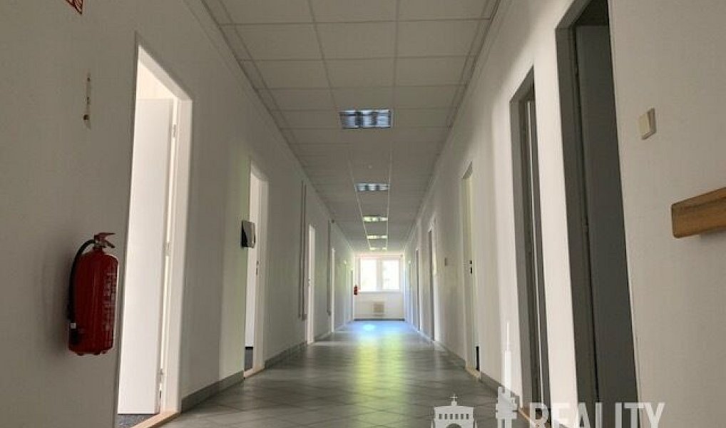 Pronájem kanceláře 347 m², Praha – náhled fotky 11