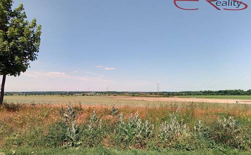 Prodej pole 22 918 m², Čelákovice, okres Praha-východ