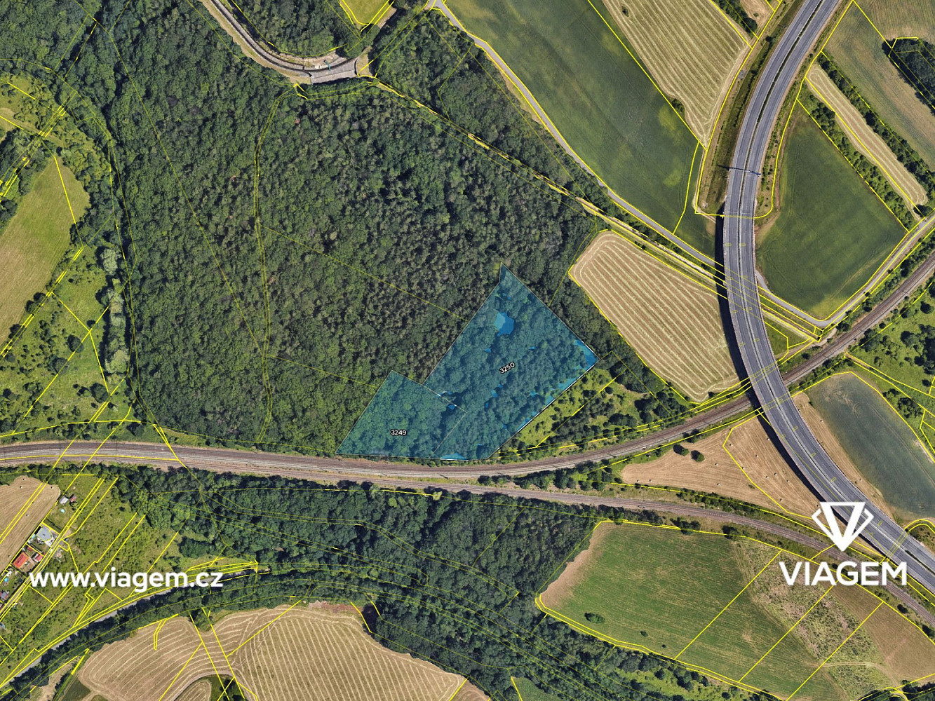 Prodej lesa 19 930 m² – fotografie 4