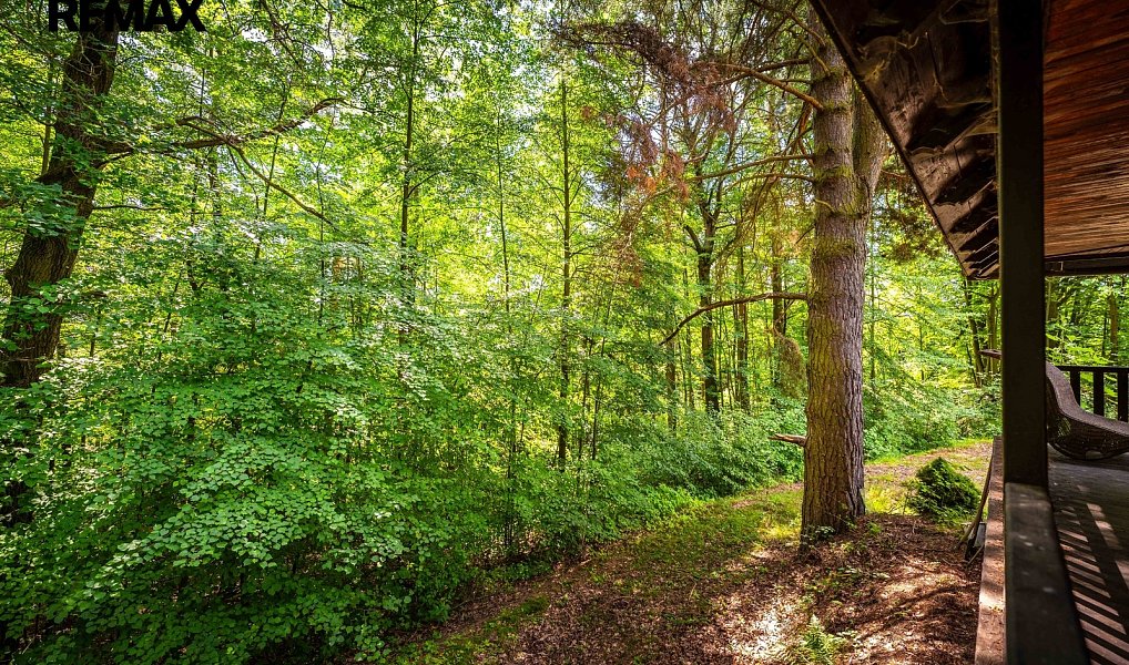 Prodej chaty/chalupy 50 m² s pozemkem 5 859 m², Komařice – náhled fotky 55