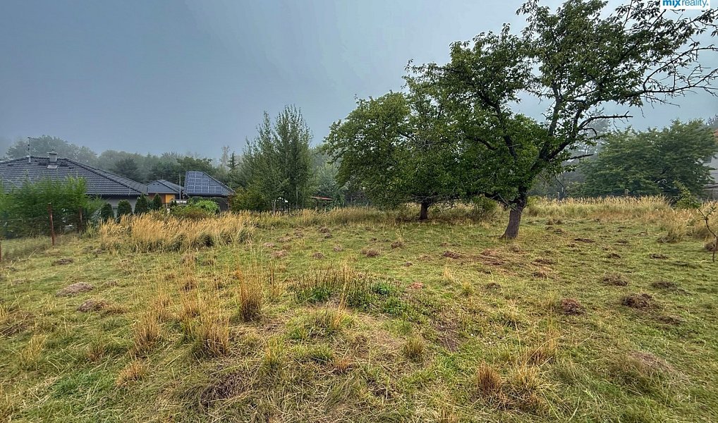 Prodej stavebního pozemku 1 285 m², Zbůch – náhled fotky 7