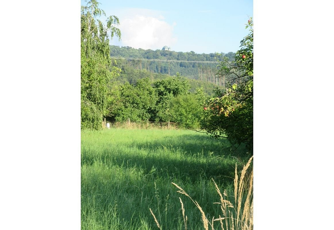 Prodej pole 6 057 m² – fotografie 3